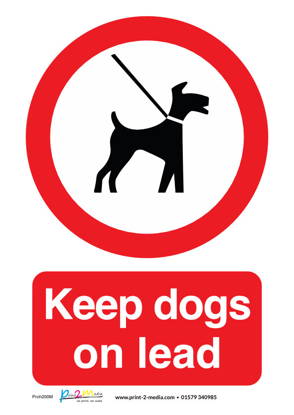 Putting A Dog On A Lead At Mary Harris Blog